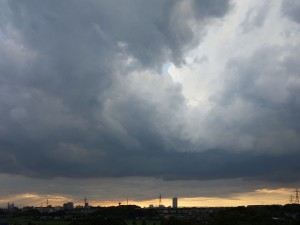 DSC06252