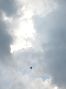 DSC06283