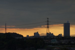 DSC06290