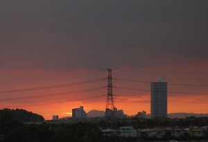 DSC06304