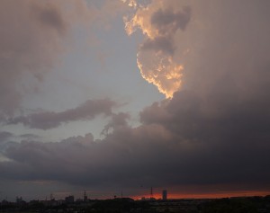 DSC06311