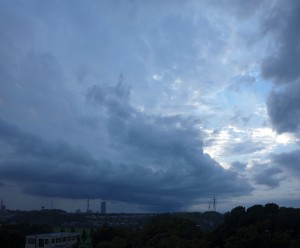 DSC06322 (1)