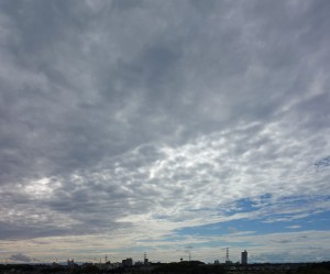 DSC06327