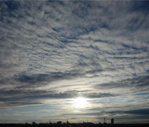 DSC06331