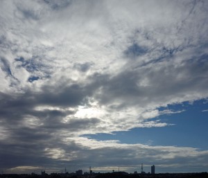 DSC06348