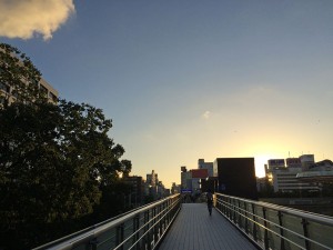 IMG_9772