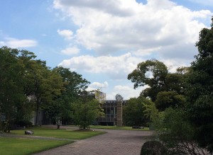 IMG_9791
