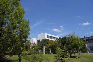 DSC06422