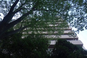 DSC06458
