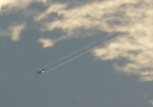 DSC06485