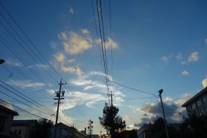 DSC06528