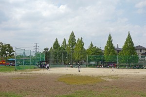 DSC06579