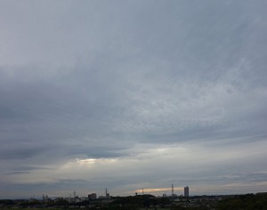 DSC06713