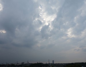 DSC06733