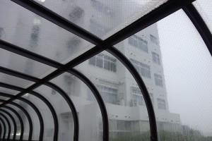 DSC06845