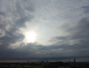 DSC06855