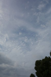 DSC06859