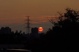 DSC06874