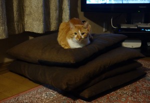 DSC06877