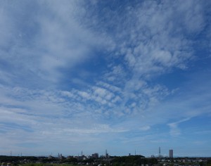 DSC06878
