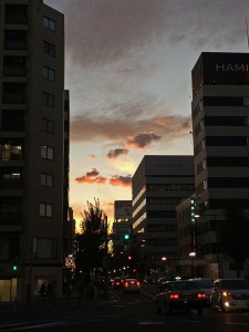 IMG_9834
