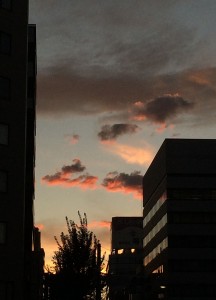 IMG_9837
