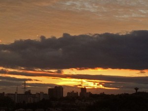 IMG_9942