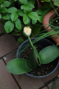 DSC07051