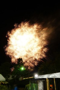 DSC07154