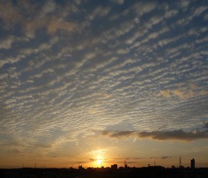 DSC07165