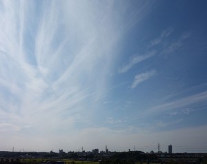 DSC07173
