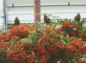 DSC07180