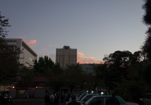 DSC07183