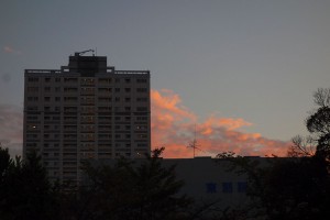 DSC07184