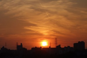 DSC07203