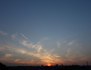 DSC07220