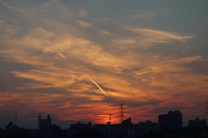 DSC07234
