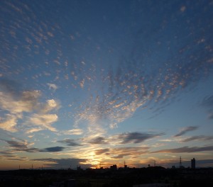 DSC07270