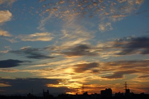 DSC07272