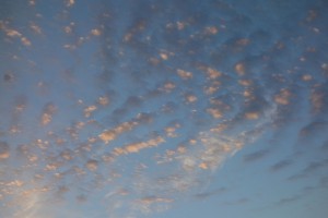 DSC07279