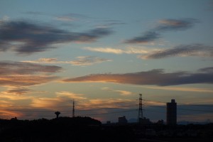 DSC07282