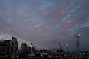 DSC07483