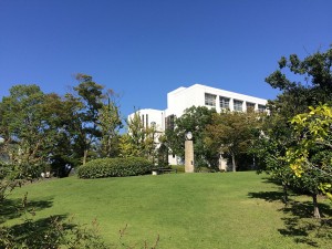 IMG_9976