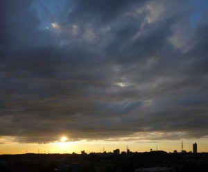 DSC07571