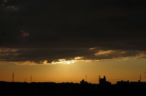 DSC07587