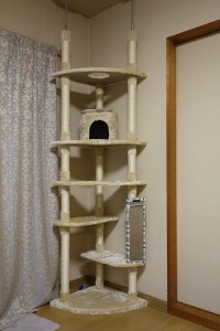 DSC07653