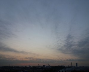 DSC07661