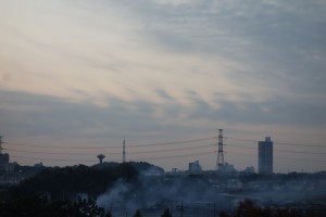 DSC07666