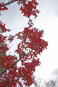DSC07689