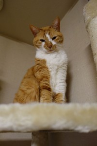 DSC07712
